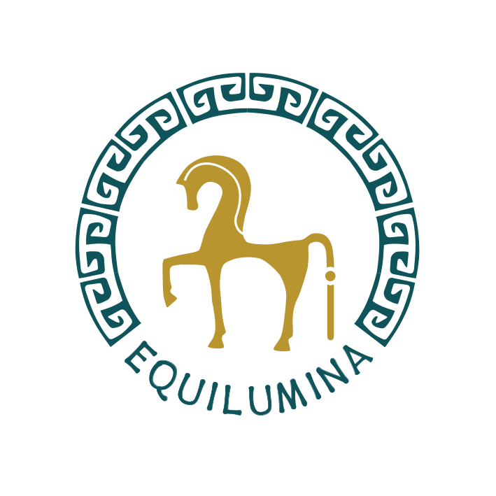 Was sollte ich über Equilumina wissen? - Equilumina Festival