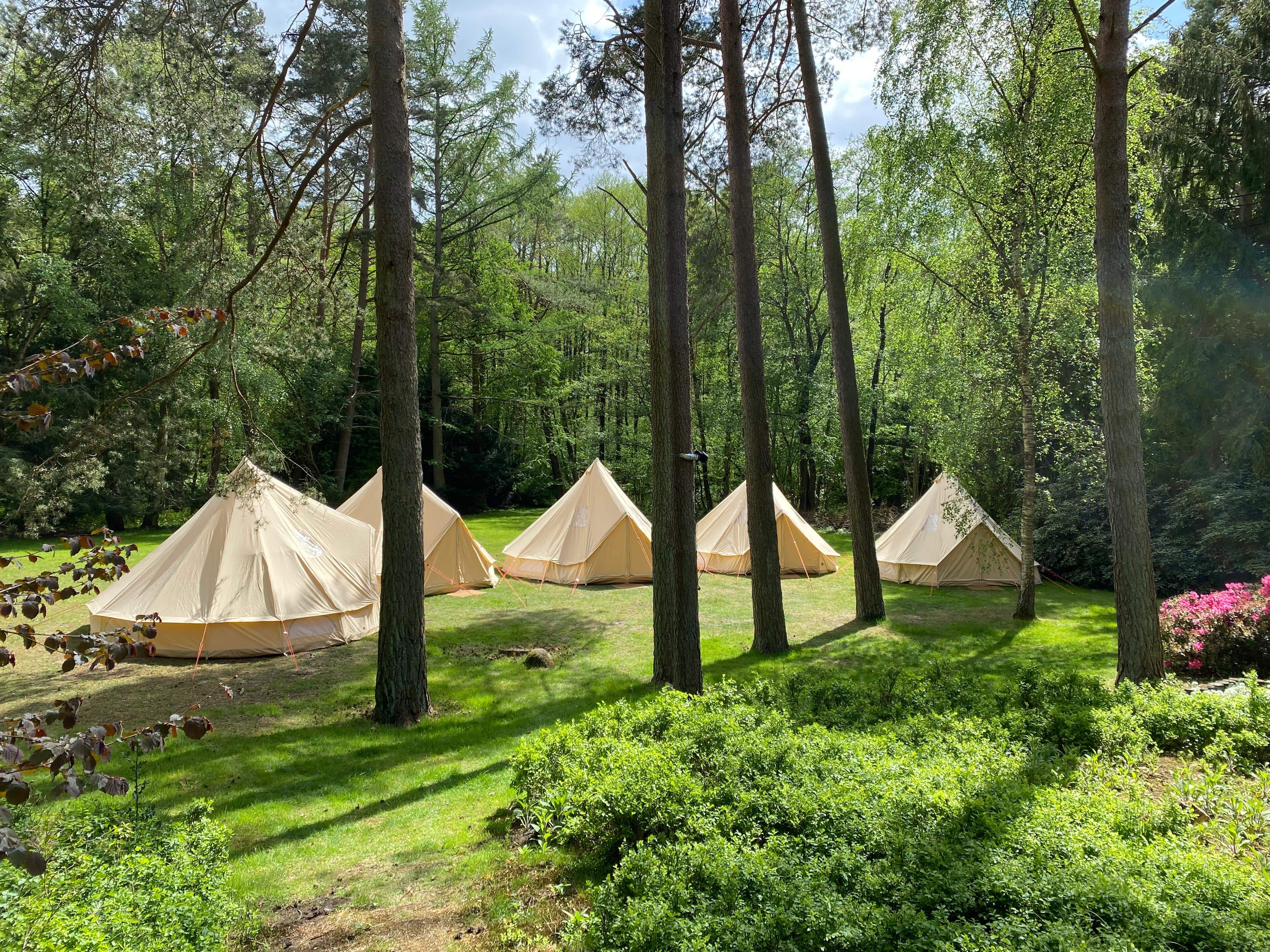 FAQ image - Equilumina Festival