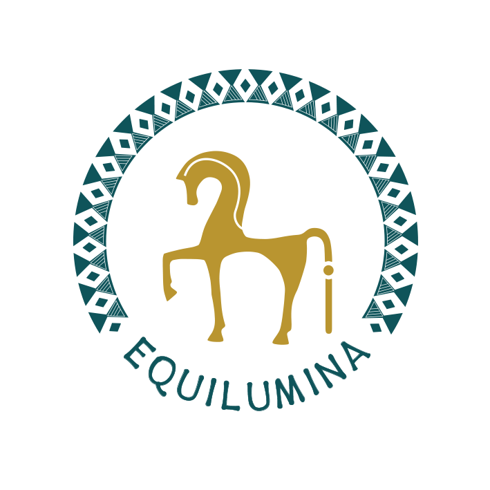Workshop:  zum Beispiel: Seiltechniken with Arien Aguilar - Equilumina Festival