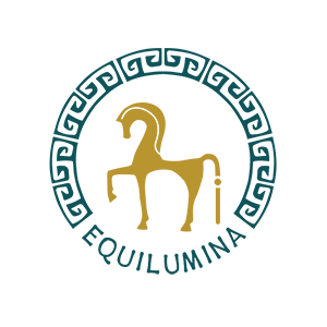 Workshop: Es werden bald neue Trainer und Themen bekannt gegeben with Coming soon - Equilumina Festival